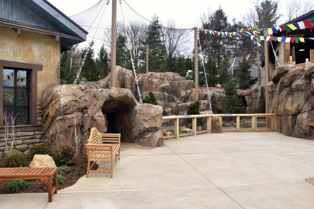 New Snow Leopard Exhibit at the Louisville Zoo featured image